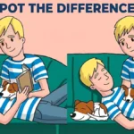 Spot the 3 Differences: Only Sharp-Eyed Can Find Hidden Panda Clues in 10 Seconds!